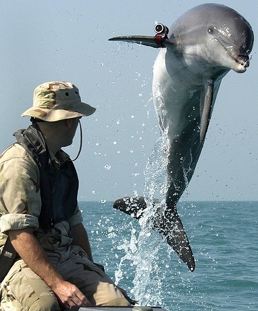 Marine biologist with ocean background